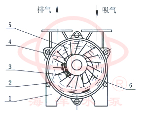 水環(huán)式真空泵及壓縮機工作原理圖